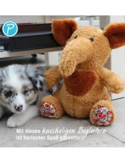 Petlando Moodles Ameisenbär Amy