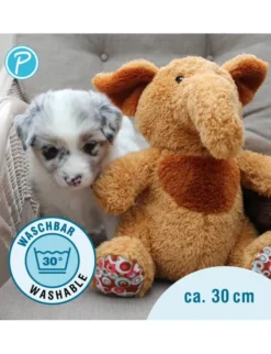 Petlando Moodles Ameisenbär Amy