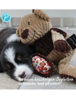 Petlando Moodles Bär Rudi