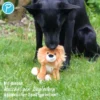 Petlando Moodles Löwe Leon