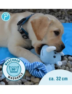 Petlando Moodles Nashorn Niko