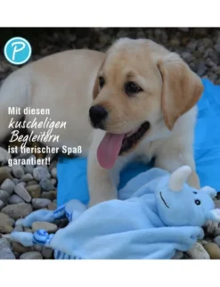Petlando Moodles Nashorn Niko