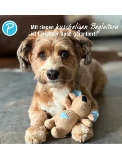 Petlando Moodles Ratte Rebecca