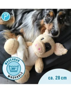 Petlando Moodles Schwein Spencer