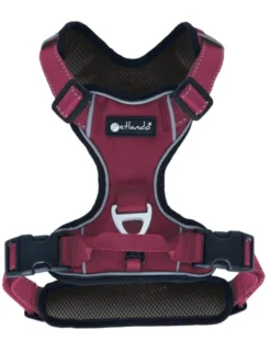 Petlando Outdoor Geschirr beere XS