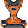 Petlando Outdoor Geschirr orange XS