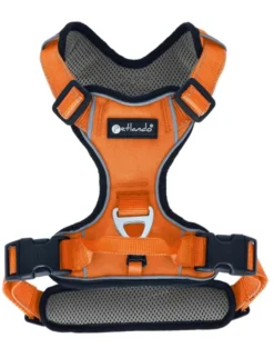 Petlando Outdoor Geschirr orange XS