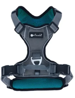 Petlando Outdoor Geschirr petrol XS