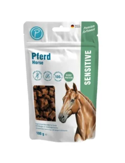 Petlando Snack Pferd 100g