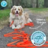 Petlando Trekking Schleppleine 10mm orange 5 m
