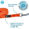 Petlando Trekking Schleppleine orange 5 m / 15 mm