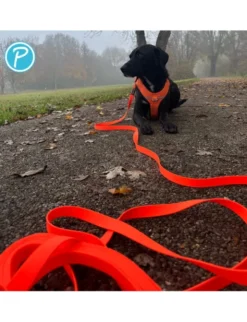 Petlando Trekking Schleppleine orange 5 m / 15 mm