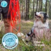Petlando Trekking Schleppleine 20mm rot 5 m