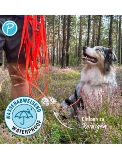 Petlando Trekking Schleppleine 20mm rot 5 m