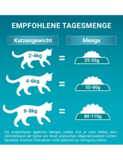 PURINA ONE Bifensis Indoor Formula Truthahn 750g