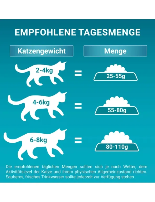 PURINA ONE Bifensis Indoor Formula Truthahn 750g