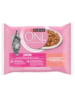 PURINA ONE Junior 340g