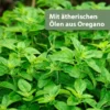 Quiko Hobby Farming Med Immun 100ml