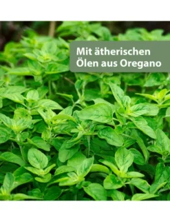 Quiko Hobby Farming Med Immun 100ml