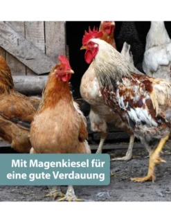 Quiko Hobby Farming Mineralgrit mit Magenkiesel 1,5kg
