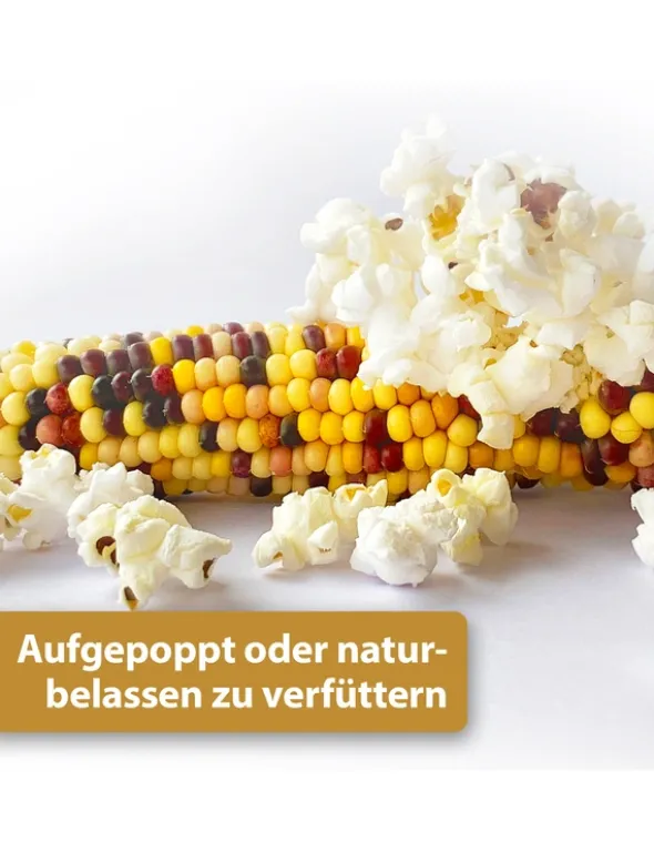 Quiko Hobby Farming Mini Popcorn 500g