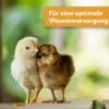 Quiko Hobby Farming Vitacombex H Multivitaminsaft 500ml