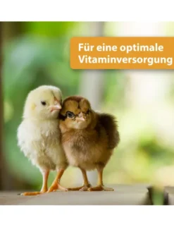 Quiko Hobby Farming Vitacombex H Multivitaminsaft 500ml