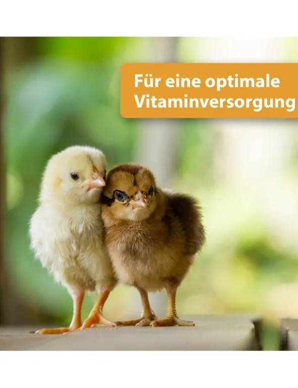 Quiko Hobby Farming Vitacombex H Multivitaminsaft 500ml