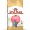 ROYAL CANIN British Shorthair Kitten 400g