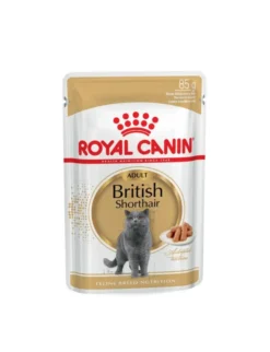 ROYAL CANIN British Shorthair in Soße Multipack 1kg
