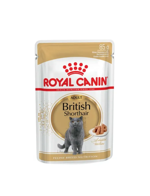 ROYAL CANIN British Shorthair in Soße Multipack 1kg