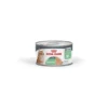 ROYAL CANIN FCN Digestive Care Airlift 85g
