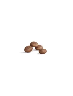 ROYAL CANIN FHN Ageing 11+ 400g