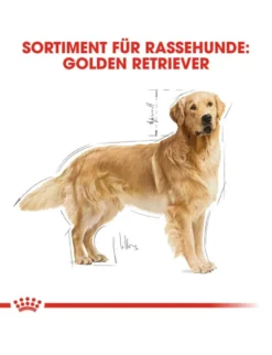 ROYAL CANIN Golden Retriever Adult 12kg