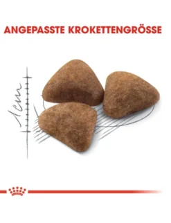 ROYAL CANIN Indoor 400g