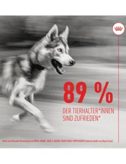 ROYAL CANIN Joint & Ageing Chews Adult 240g