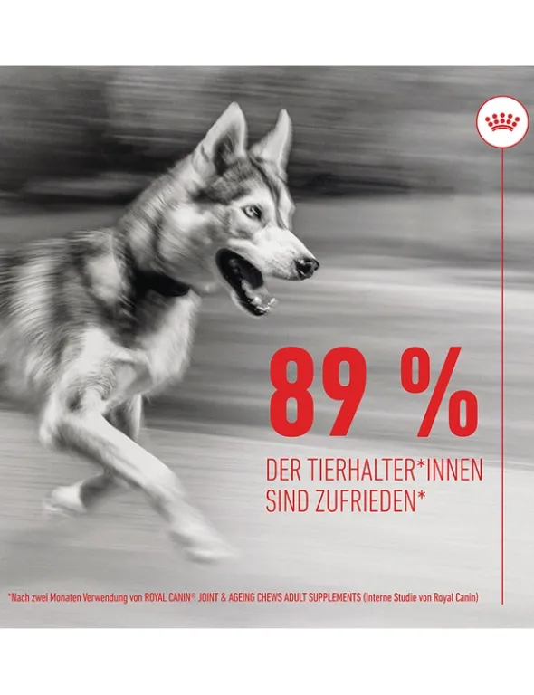 ROYAL CANIN Joint & Ageing Chews Adult 240g