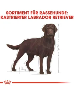 ROYAL CANIN Labrador Adult Sterilised 12kg