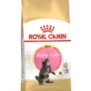 ROYAL CANIN Maine Coon Kitten 4kg