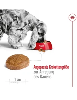 ROYAL CANIN Medium Adult 7+ 15kg