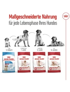 ROYAL CANIN Medium Adult 7+ 15kg