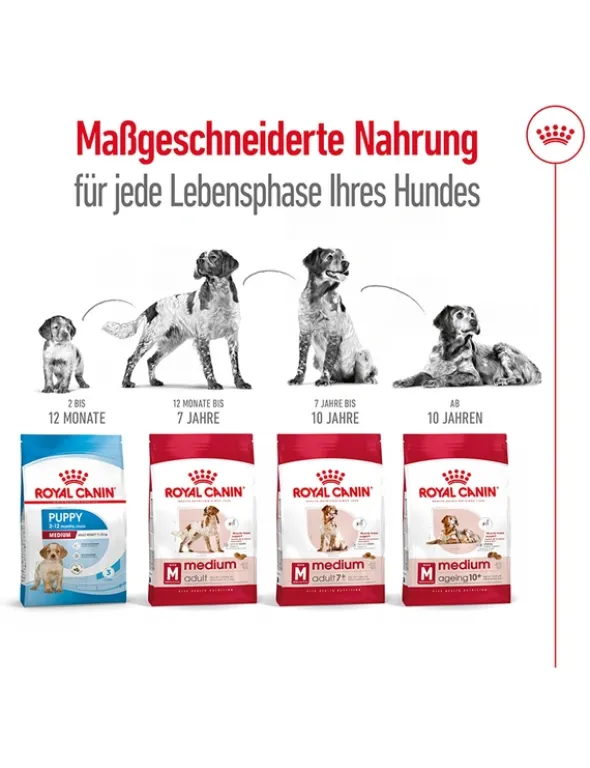 ROYAL CANIN Medium Ageing 10+ 15kg