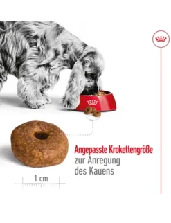 ROYAL CANIN Medium Ageing 10+ 15kg