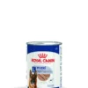 ROYAL CANIN SHN Maxi Ageing 410g