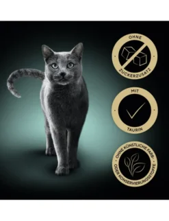 Sheba Creamy Snacks mit Lachs, mit Huhn 108g