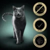 Sheba Creamy Snacks mit Rind 48g