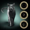 Sheba Delikatesse in Gelee mit Truthahn 85g