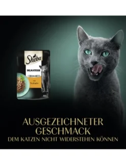 Sheba Delikatesse in Gelee mit Truthahn 85g