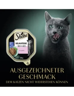 Sheba Delikatesse in Gelee mit Lachs 85g