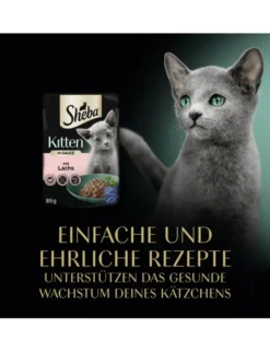 Sheba Kitten in Sauce mit Lachs 85g